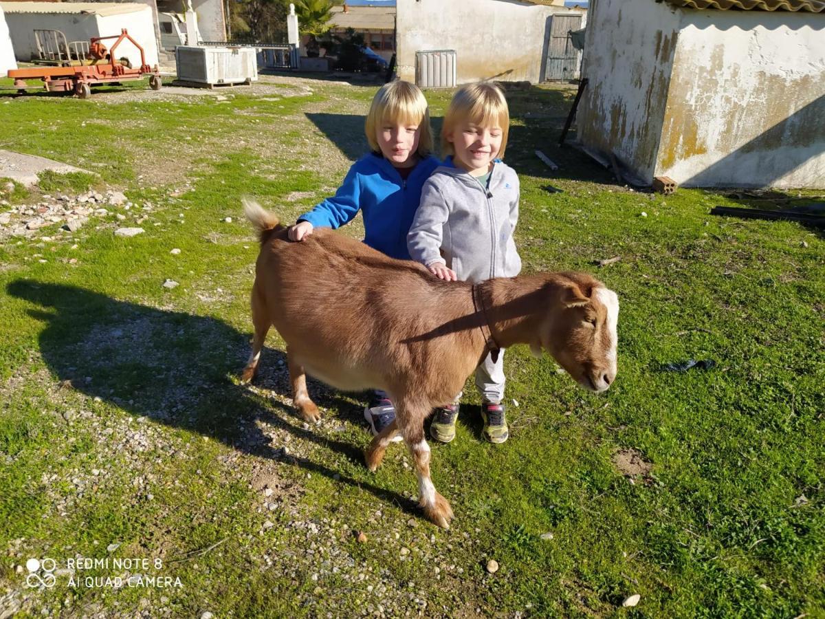 Casa Con Vistas, Piscina Y Animales De Granja, La Caseta 타라고나 외부 사진