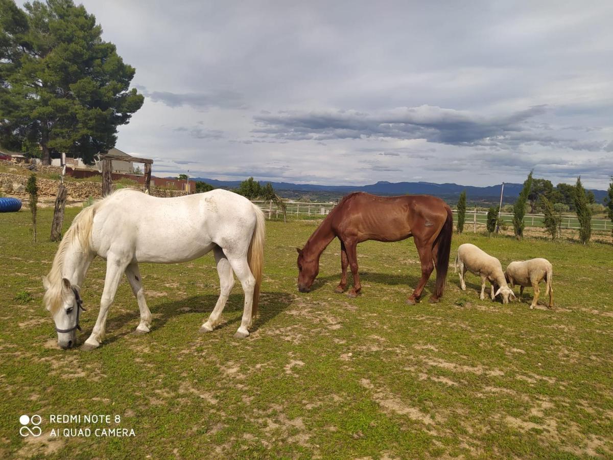 Casa Con Vistas, Piscina Y Animales De Granja, La Caseta 타라고나 외부 사진