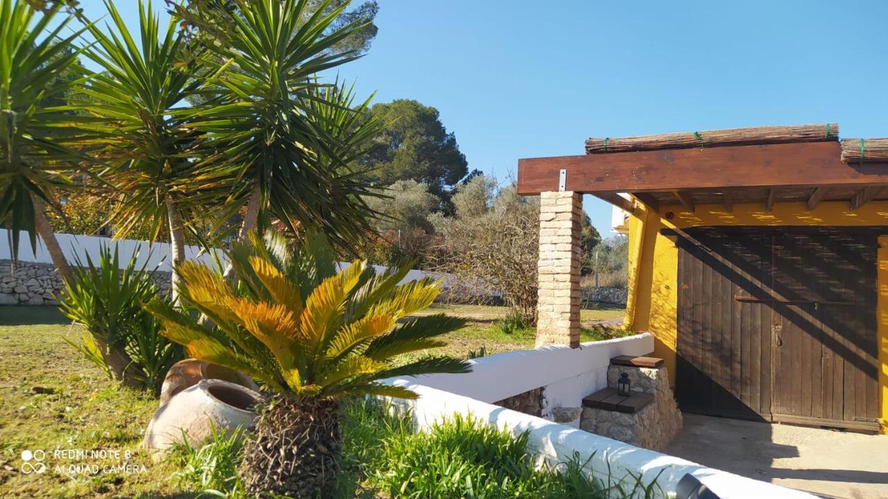 Casa Con Vistas, Piscina Y Animales De Granja, La Caseta 타라고나 외부 사진