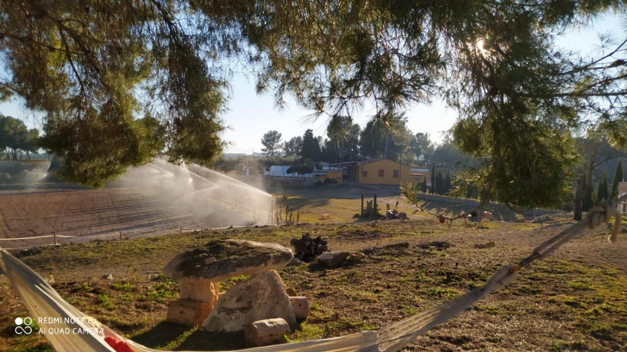 Casa Con Vistas, Piscina Y Animales De Granja, La Caseta 타라고나 외부 사진