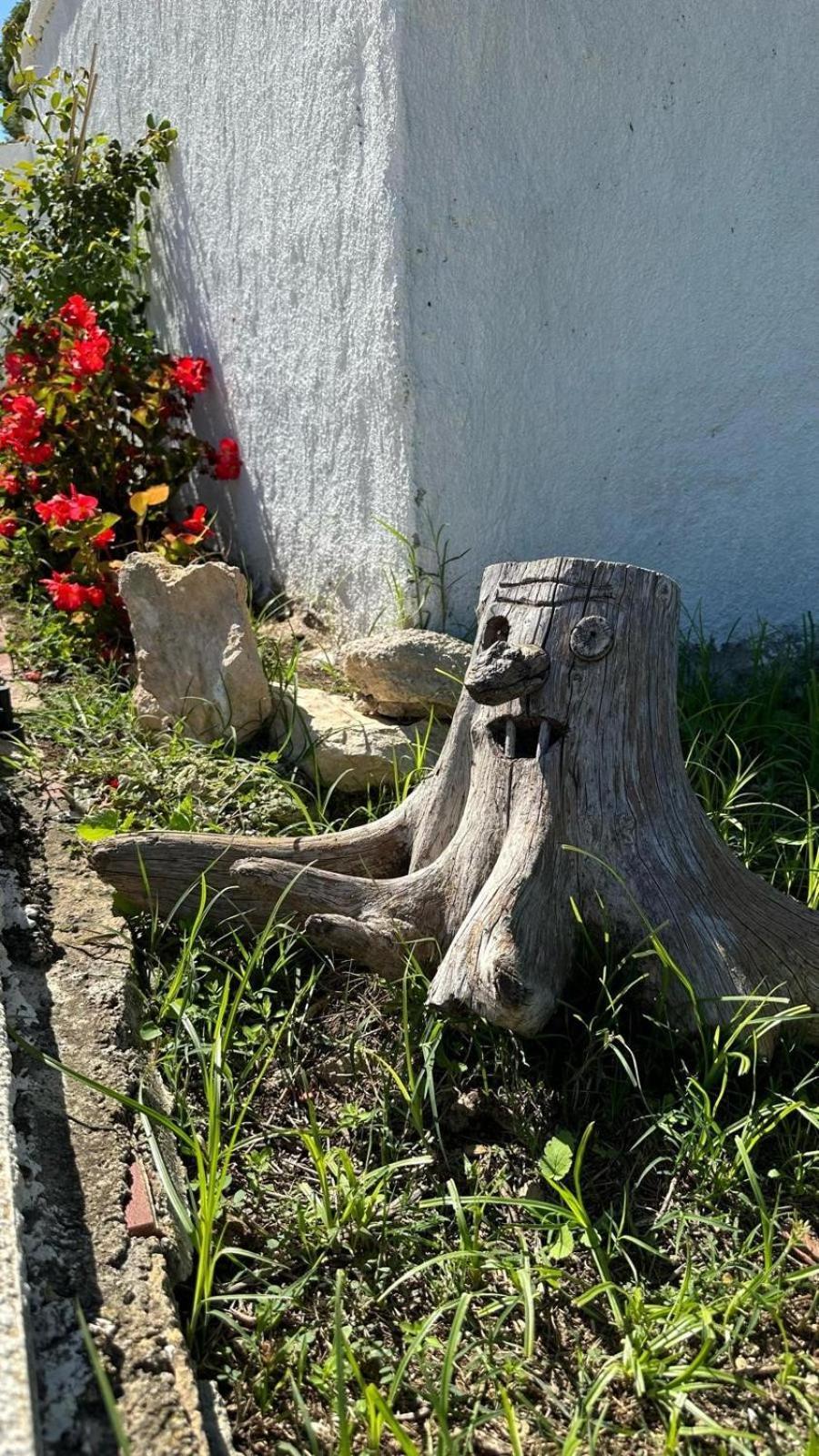 Casa Con Vistas, Piscina Y Animales De Granja, La Caseta 타라고나 외부 사진