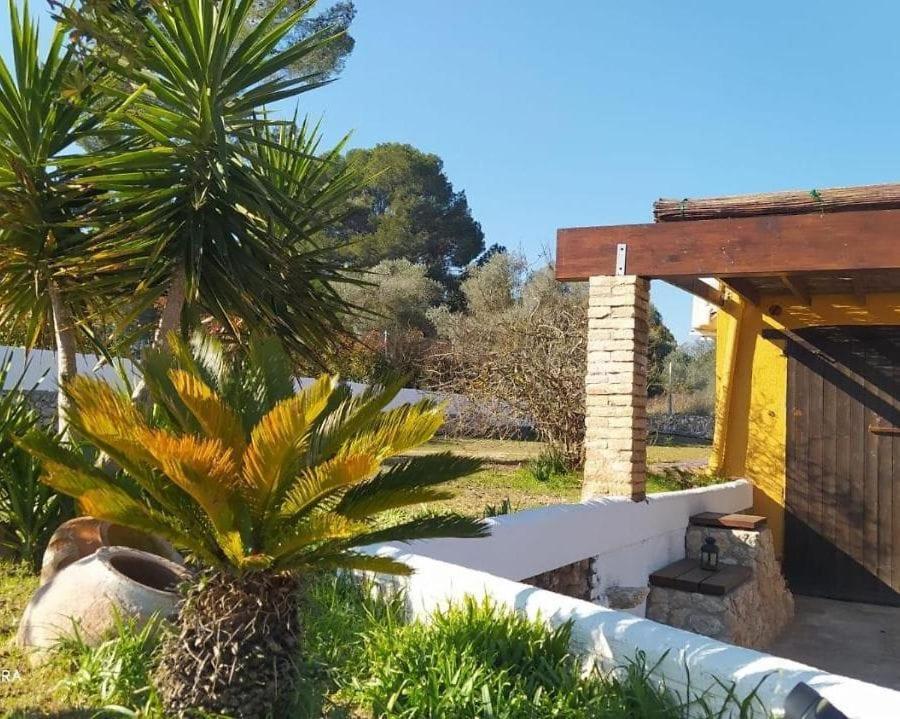 Casa Con Vistas, Piscina Y Animales De Granja, La Caseta 타라고나 외부 사진